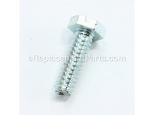 Hex Screw – Part Number: 099078001007