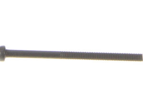 9873156-1-M-Ryobi-099968002035-Screw, M4 x 50 mm