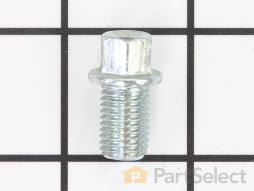 9873231-1-M-Homelite-099980425017-Drain Plug Bolt