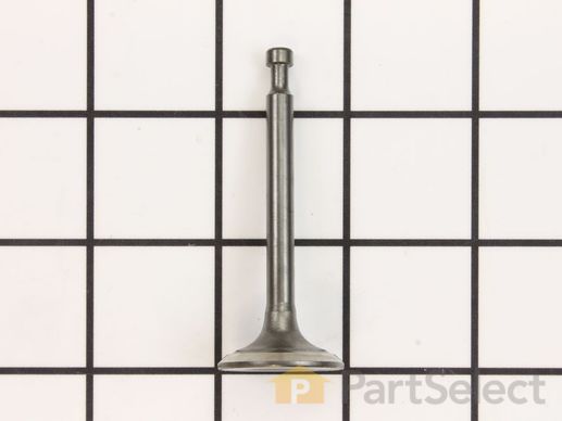 9873255-1-M-Homelite-099980425041-Exhaust Valve