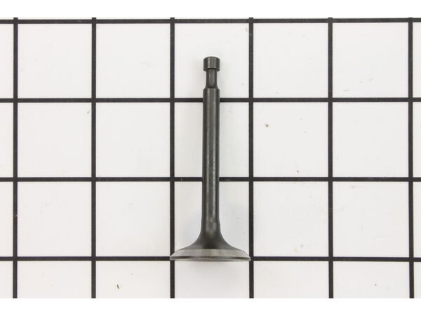 9873256-1-M-Homelite-099980425042-Intake Valve