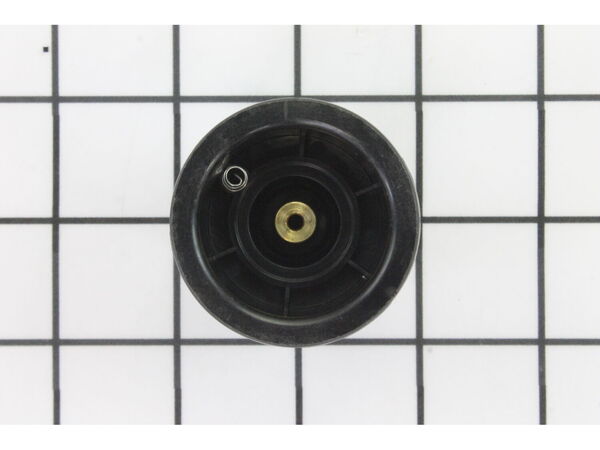 9877383-1-M-Kohler-1056919-Washdown Piston