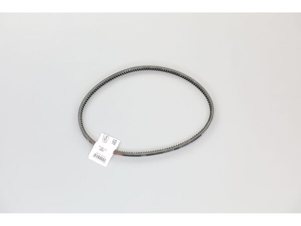 9878101-1-M-Mi-T-M-11-0023-Belt