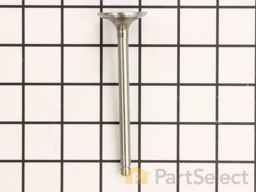 9883695-1-M-Kohler-1201601-S-Valve, Exhaust