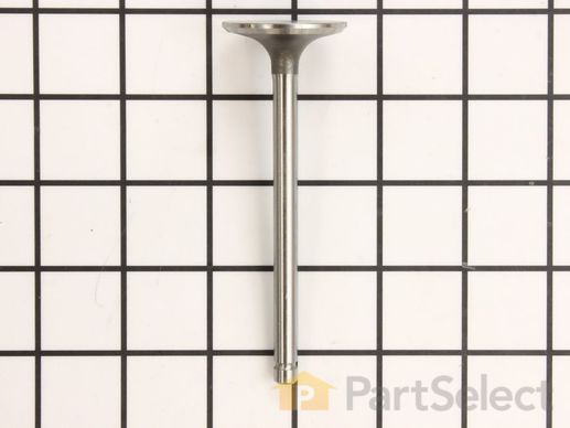 9883699-1-M-Kohler-1201701-S-Valve, Intake (Std.)