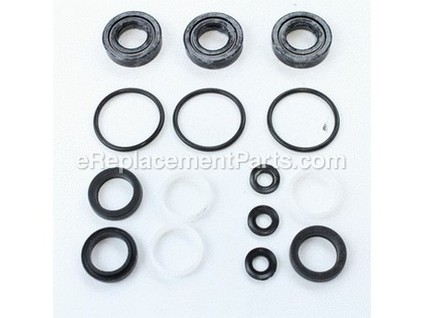 9883898-1-M-Ridgid-120440001-Seal Kit (for Ridgid Pump #308