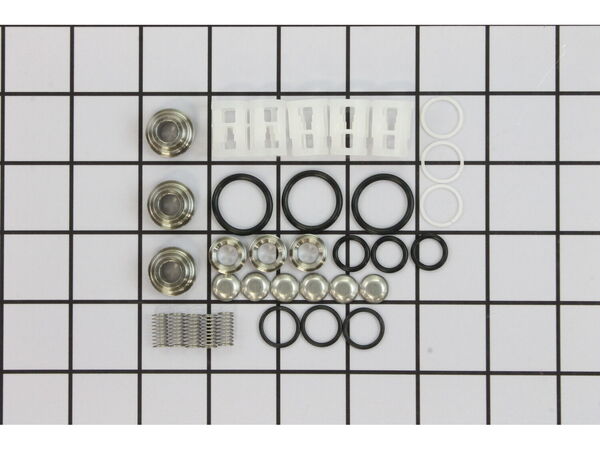 9883901-1-M-Ridgid-120441001-Valve Assembly (for Pump 30869