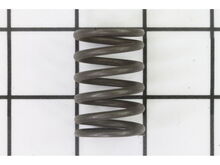 Valve Spring – Part Number: 12103-Z080110