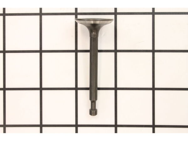 9884615-1-M-Homelite-12111-Z010110-Intake Valve