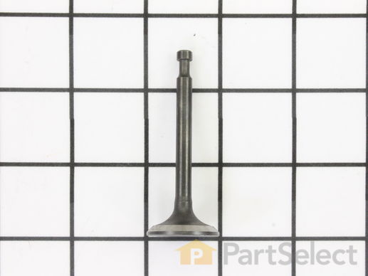 9884697-1-M-Homelite-12121-Z010110-Exhaust Valve