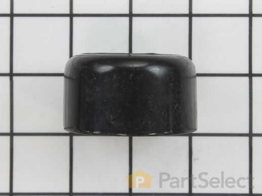 9885835-1-M-Craftsman-124238X-Cap Spring