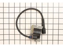 Module, Ignition – Part Number: 1258405-S