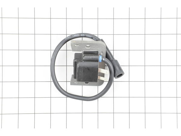 9886123-1-M-Kohler-1258417-S-Module-ignition