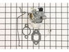 Kit: Carburetor W/gasket – Part Number: 1285345-S