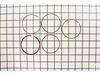 Ring Set- Piston - 0.25 – Part Number: 13011-Z4K-004