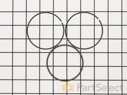 9888605-1-M-Homelite-13210-Z140110-Oil Ring Kit
