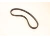 9890076-1-S-Bear Cat-13426-00-Belt, 2rbp56