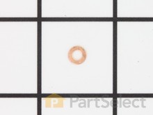 Washer Governor – Part Number: 136-152-8