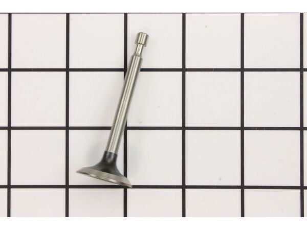 9890842-1-M-Kohler-1401601-S-Valve: Exhaust