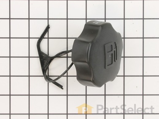9892645-1-M-Kohler-1422714-S-Cap Assembly, Fuel