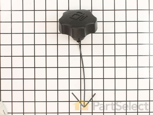 9892646-1-M-Kohler-1422716-S-Cap Assembly, Fuel Evap
