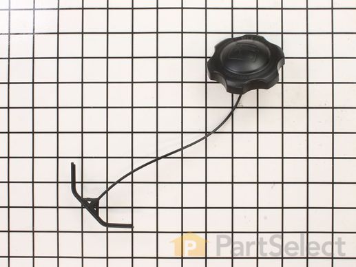 9892647-1-M-Kohler-1422719-S-Cap Assembly, Fuel