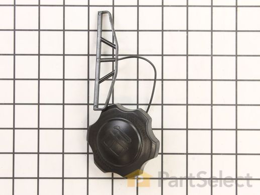 9892648-1-M-Kohler-1422720-S-Cap Assembly, Fuel
