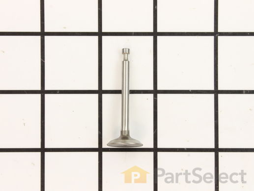 9893559-1-M-Honda-14711-Z0Z-800-Valve- In.