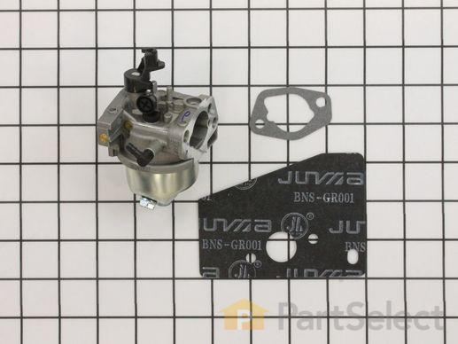 9893846-1-M-Kohler-1485322-S-Kit: Carburetor W/gaskets