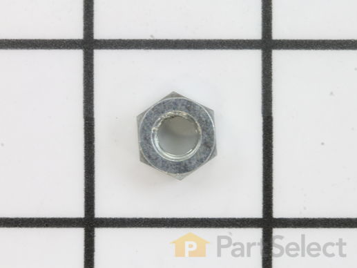 9894583-1-M-Craftsman-150360-Nut