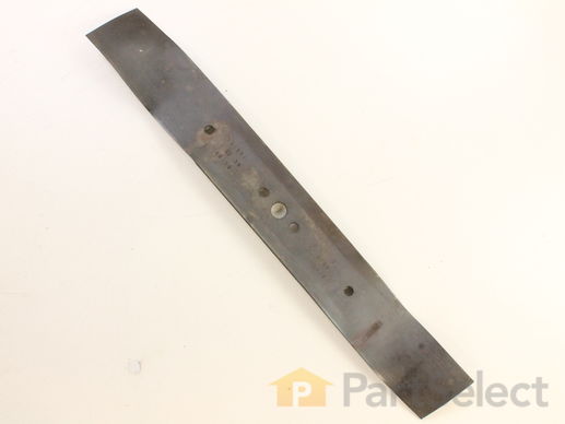 9896368-1-M-Craftsman-159267-Blade 21"
