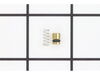 Piston Assembly Accel Kit – Part Number: 160-508