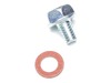 Screw Set-Drain – Part Number: 16024-ZE1-811