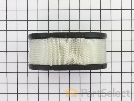 9897877-1-M-Kohler-1608304-S-Element: Air Filter