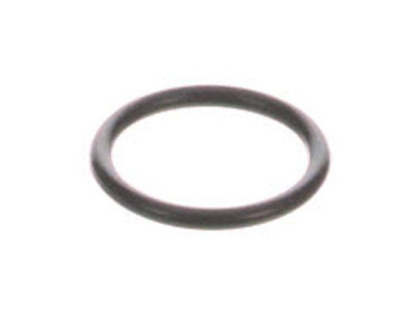 9898881-1-M-Honda-16173-001-004-Gasket- Fuel Strainer Cup
