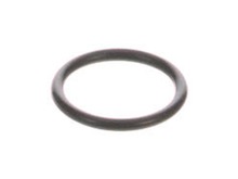 Gasket- Fuel Strainer Cup – Part Number: 16173-001-004