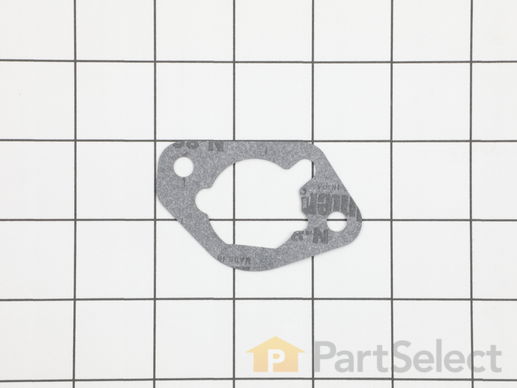 9901789-1-M-Homelite-17001-Z080110-Air Cleaner Gasket
