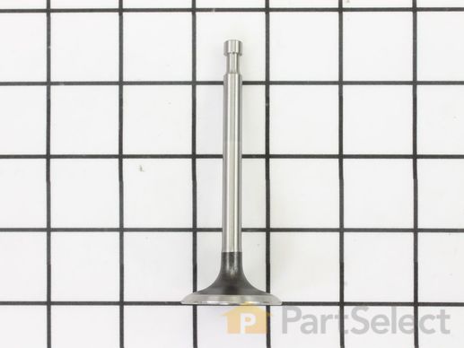 9901886-1-M-Kohler-1701609-S-Valve: Exhaust