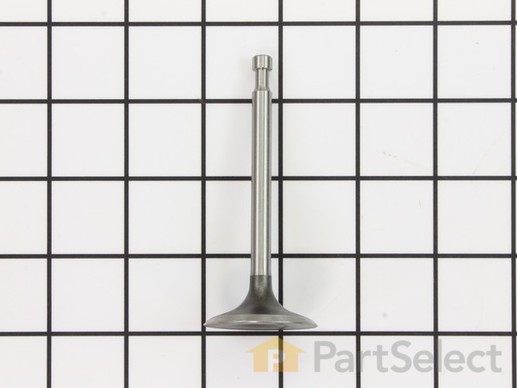 9901894-1-M-Kohler-1701707-S-Valve: Intake