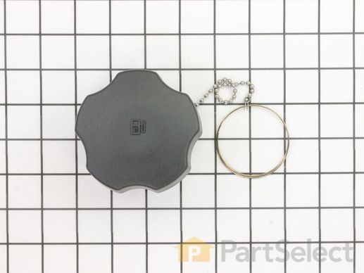 9902959-1-M-Kohler-1717319-S-Cap, Evaporative Emissions