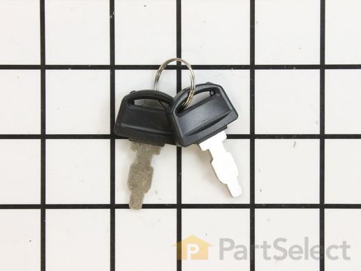9904673-1-M-Kohler-1734011-S-Keys For Switch