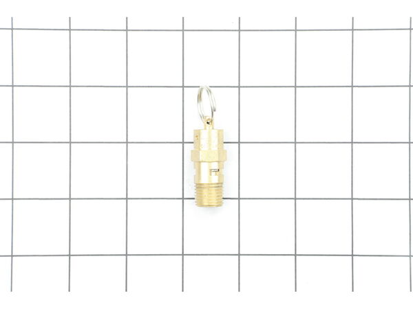 9905363-1-M-Ridgid-17378-Safety Valve
