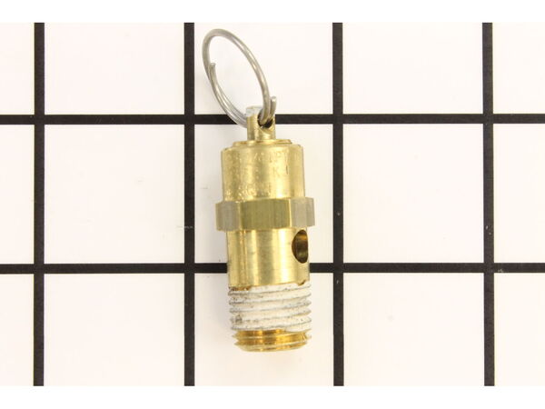 9909015-1-M-Ridgid-17798-Safety Valve