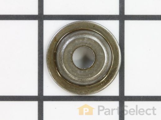9918035-1-M-Kohler-2017301-S-Cap: Valve Spring