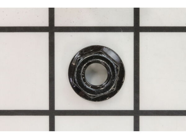 9919002-1-M-Ridgid-20428-Nut, 5/16" (4)