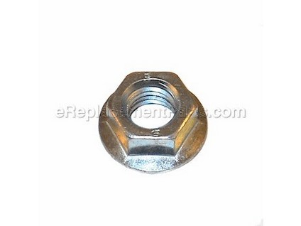 9925013-1-M-Ridgid-23073-Nut M12