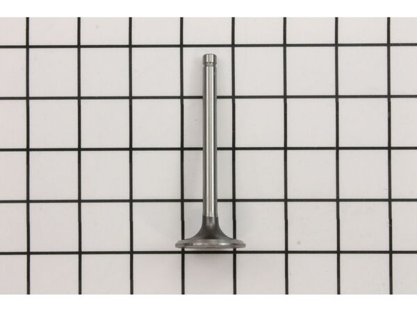 9926223-1-M-Kohler-2401701-S-Valve: Intake (std)