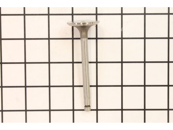 9926225-1-M-Kohler-2401702-S-Valve: Intake (.25)