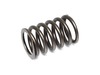 Spring: Valve – Part Number: 2408902-S