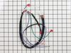 Harness: Wiring – Part Number: 2417682-S